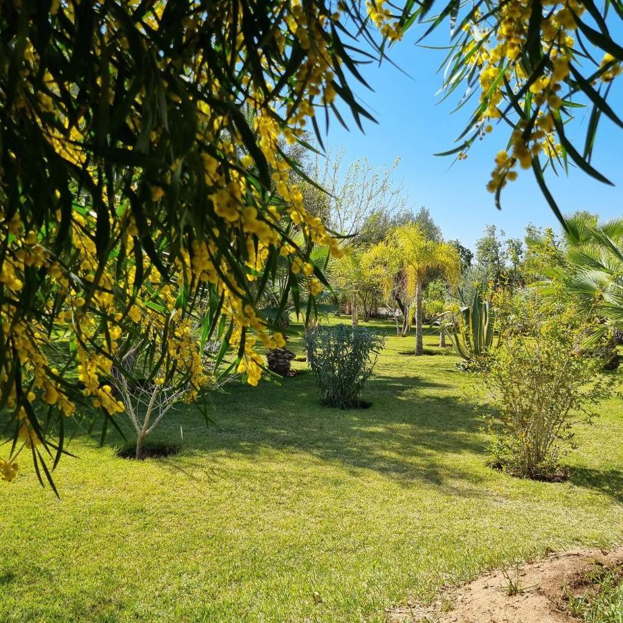 Riad Les Deux Citronniers Marrakesh Buitenkant foto