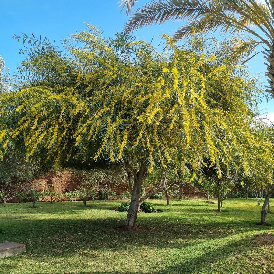 Riad Les Deux Citronniers Marrakesh Buitenkant foto